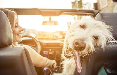 Get estimate of car repair Las Vegas Nevada 88901